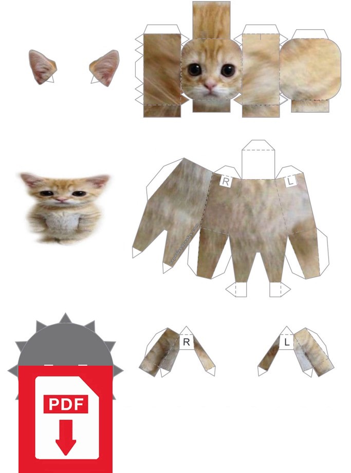 el gato template